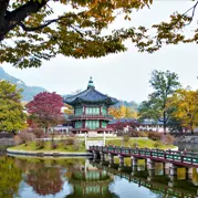 Gyeongbokgung palace in the middle of the lake surrounded with autumn tree