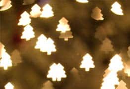 What should I do as an international student at Christmas?