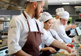 Study Culinary Arts / Gastronomy in Spain