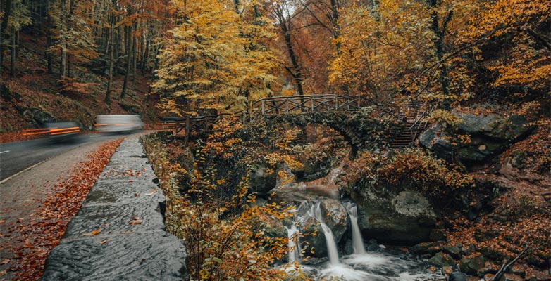 An autumnal waterfall near Echternach, Luxembourg