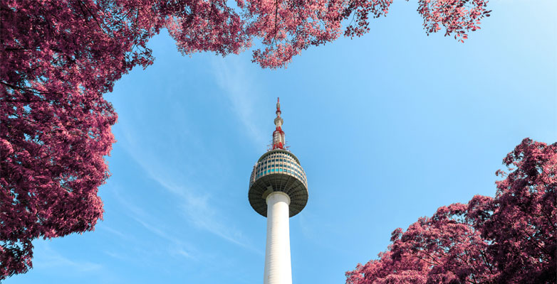 The top of the N Seoul Tower, seen through pink blossom trees
