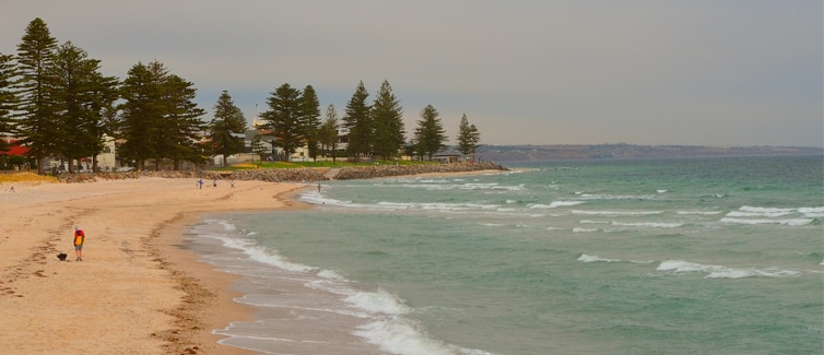 A sandy coastline with trees in the background