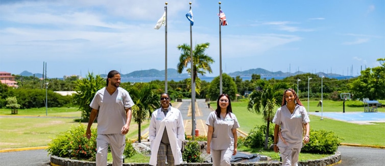 Students walking outside with a tropical scene in the background.
